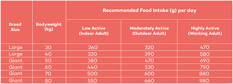 Feeding guide table for Lokuno Adult Large Breed dog food.