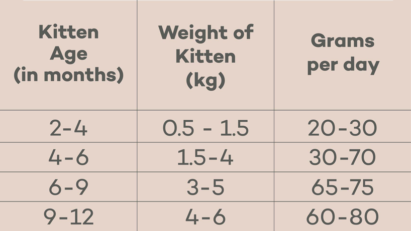 Feeding guide table for Lokuno kitten food kibble.